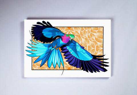 "Birds Eye View" Stretched Canvas Frame