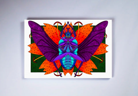 "Flower Beetle" Stretched Canvas Frame