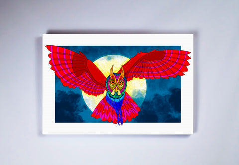 "Rainbow Owl" Stretched Canvas Frame